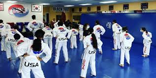 Image result for Taekwondo Athletes Program USA