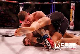 Image result for Cardiff Mma