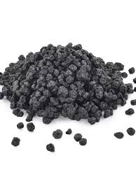 Attēlu rezultāti vaicājumam “Phellodendron amurense fruit”