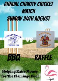 Image result for Axminster Town Cricket Club