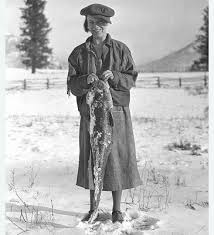 Image result for Lota lota