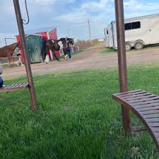 Image result for Annandale Equestrian Centre