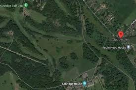 Image result for LITTLE GADDESDEN CRICKET CLUB