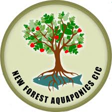 Image result for New Forest/Waterside