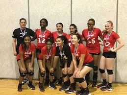 Image result for Cheltenham Cobras Volleyball Club