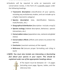 Image result for Petrus rupestris