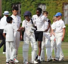 Image result for Upminster Cricket Club