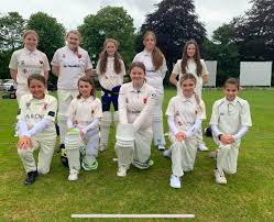 Image result for Nantwich Cricket Club