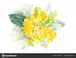 Attēlu rezultāti vaicājumam “Mahonia aquifolium flower”