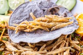 Attēlu rezultāti vaicājumam “Charales”