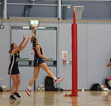Image result for pulborough netball club