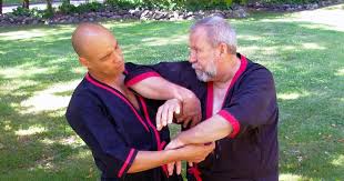 Image result for Windsor WingTsun Kung fu