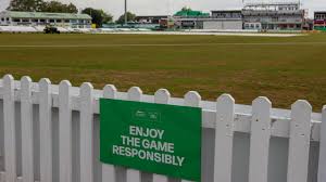 Image result for Thorpe Green Cricket Club