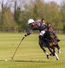 Image result for Kirtlington Park Polo Club