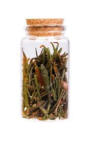 Attēlu rezultāti vaicājumam “Ledum palustre fruit”