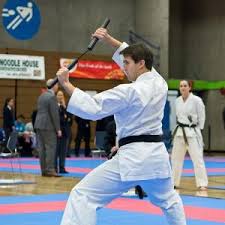Image result for Shitokai Karate Club