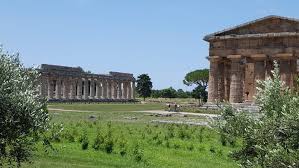 Image result for paestum