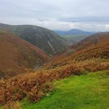 Image result for Long Mynd