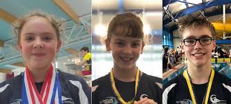 Image result for Plymouth Underwater Hockey Club