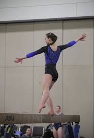 Image result for Focus Institute of Gymnastics