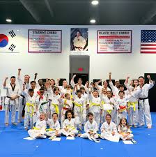 Image result for Park Place Olympic Tkd