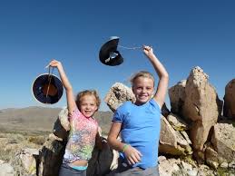 Image result for mountain top seashell