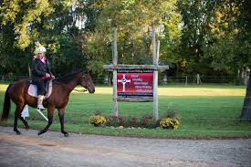Image result for Annandale Equestrian Centre