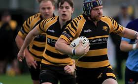Image result for Ely Rugby Union Football Club