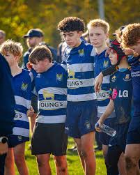 Image result for Haslemere Community Rugby Club