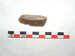 Image result for feuille-laurier-silex