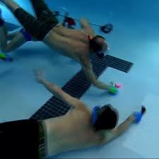 Image result for Nautilus Underwater Hockey Club