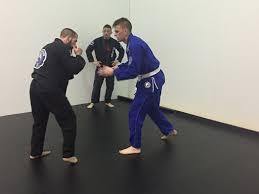 Image result for Intelligent Martial Arts