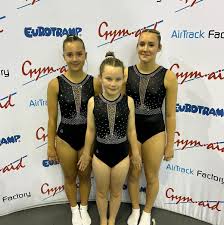 Image result for Harlequin Gymnastics Club