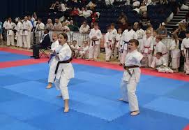 Image result for Addlestone Shotokan Karate Club