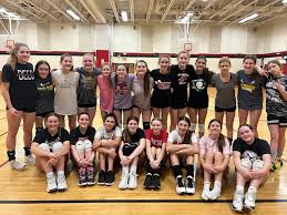 Image result for Bournside Volleyball Club