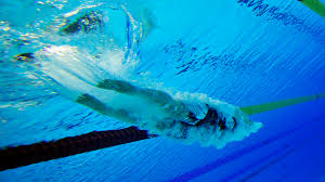 Image result for Stocksbridge Pentaqua Swimming Club