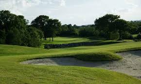 Image result for Carlow Golf Club