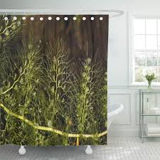 Attēlu rezultāti vaicājumam “Utricularia vulgaris leaf”