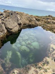 Image result for Swimming Skills Cornwall | St Ives