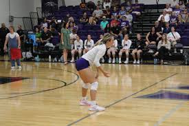 Image result for White Eagles Volleyball Club