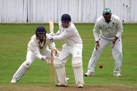 Image result for Hatherleigh Cricket Club