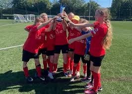 Image result for Horrabridge Badminton Club