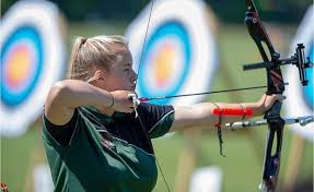 Image result for Castle Field Archers