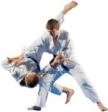 Image result for Horndean Zen Judo Club