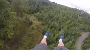 Image result for Go Ape! Grizedale