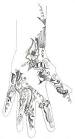 Henna Designs for Palm,Henna Hand Design,Henna Designs for Hands ...