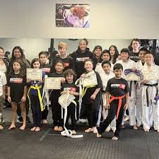 Image result for Precision Martial Arts