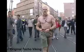 Resultado de imagen para techno viking