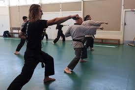Image result for Shaolin Nam Pai Chuan Kung Fu - Manchester Martial Arts Centre