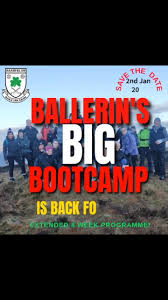 Image result for Ballerin Gaelic Athletic Club